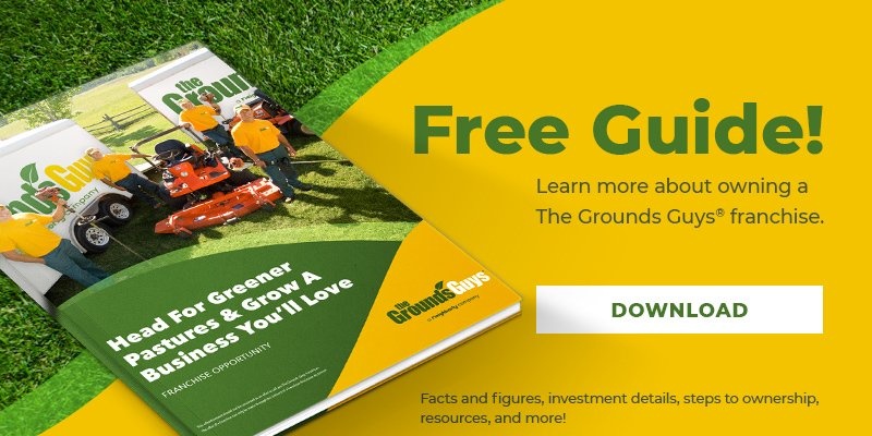 Two Startup Journeys With The Grounds Guys, The Grounds Guys Franchise